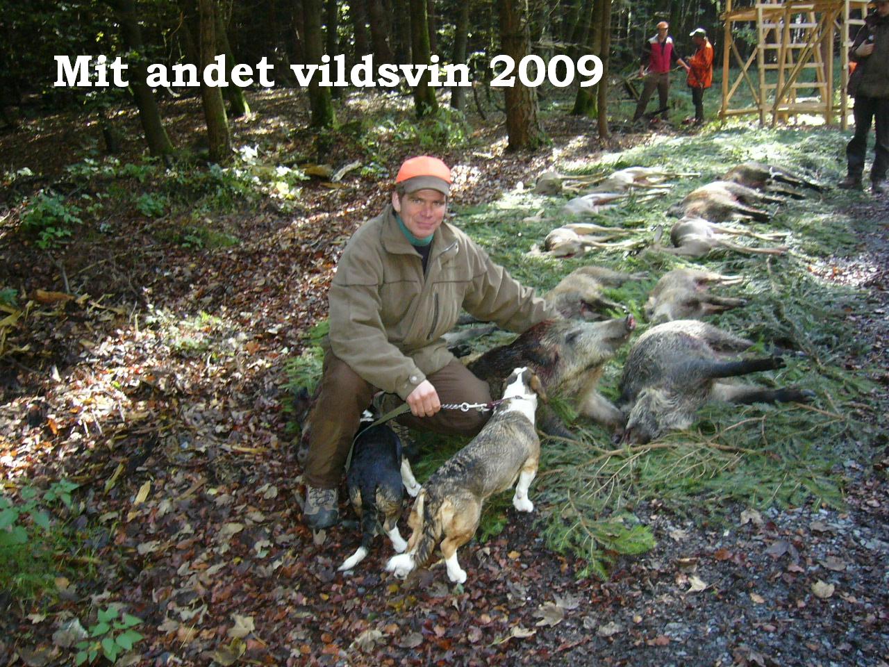 vildsvin09