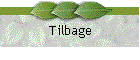 Tilbage